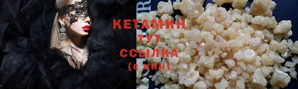 прущие грибы Вязники
