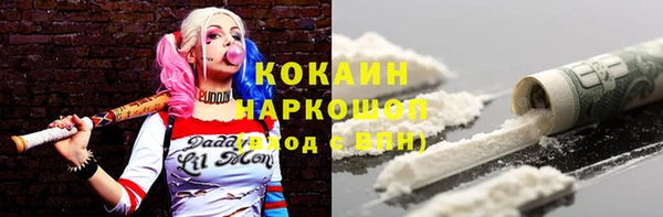 мяу мяу мука Гусь-Хрустальный