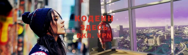 прущие грибы Вязники